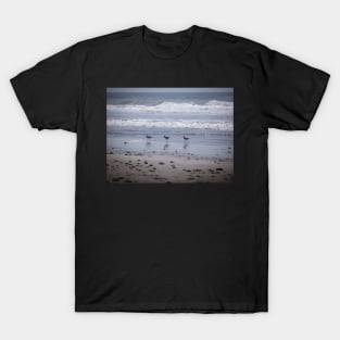 California Beach Birds Chilling on the Sunny Beach Photo V2 T-Shirt